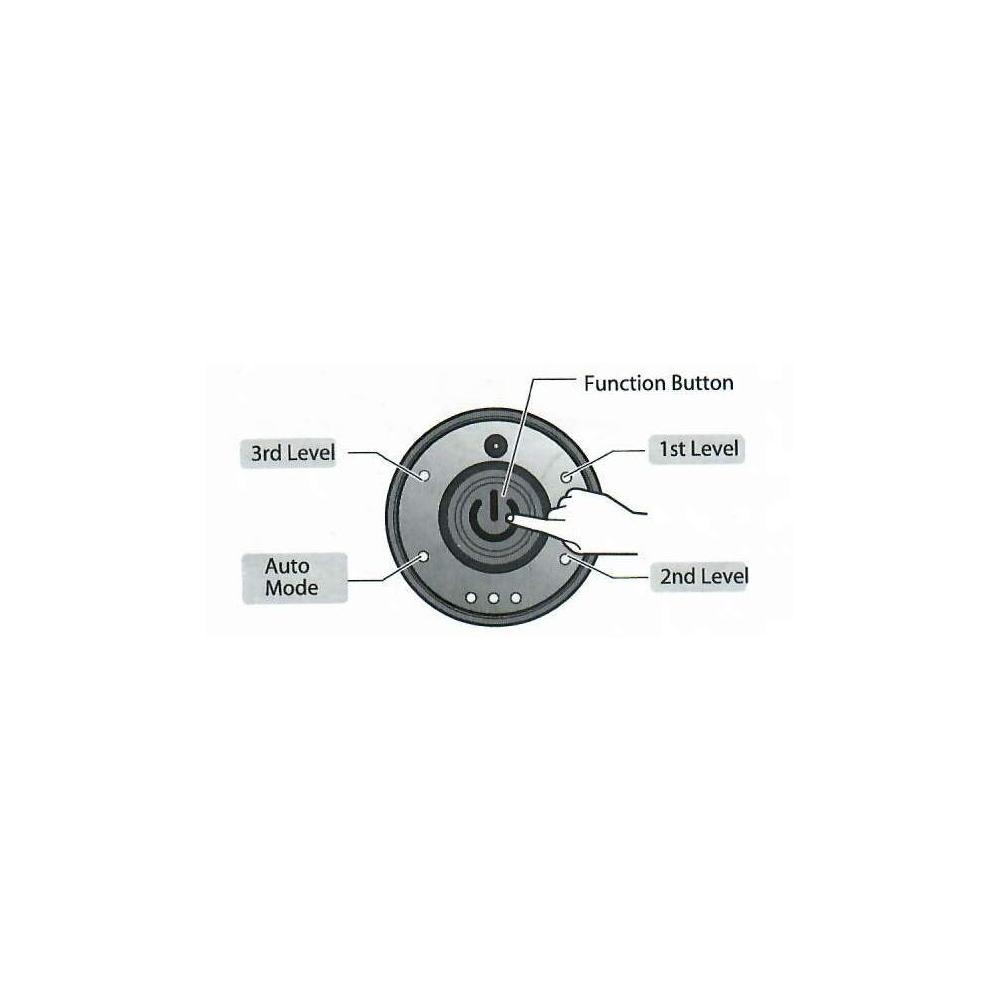 Vibracion Therapy Ball