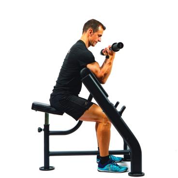 Seated Preacher Curl