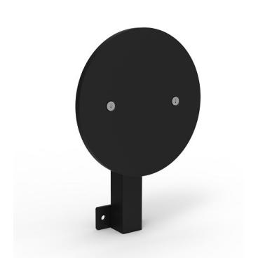Comprar Diana de Wall Ball para entrenamiento Crossfit de Balón Medicinal
